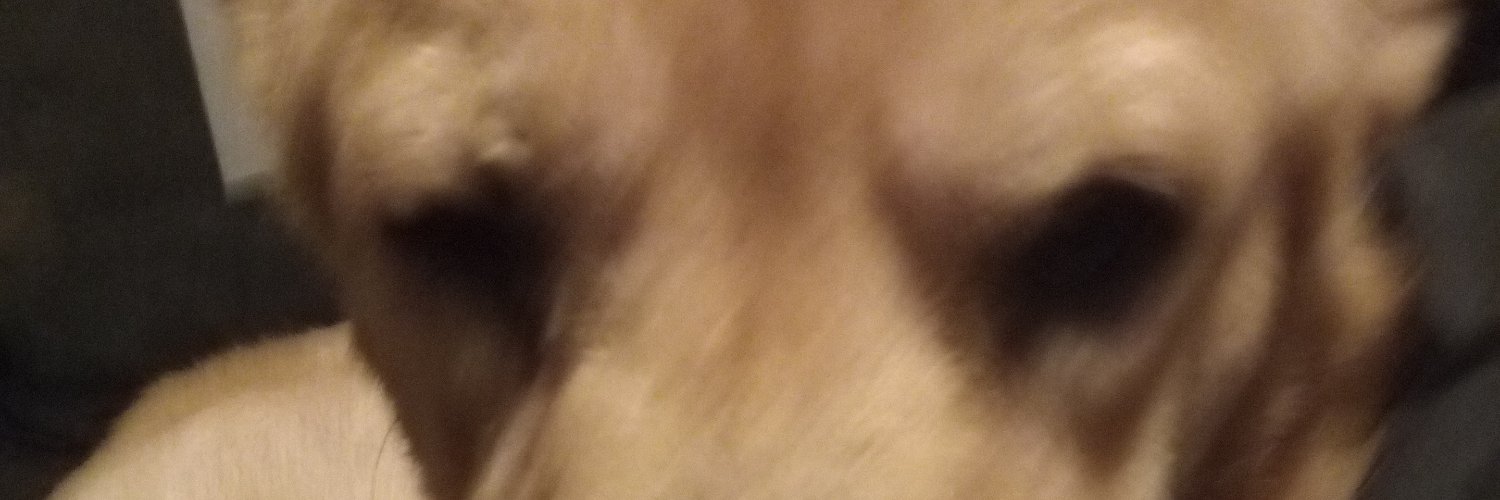 Zabbyanime's profile banner image