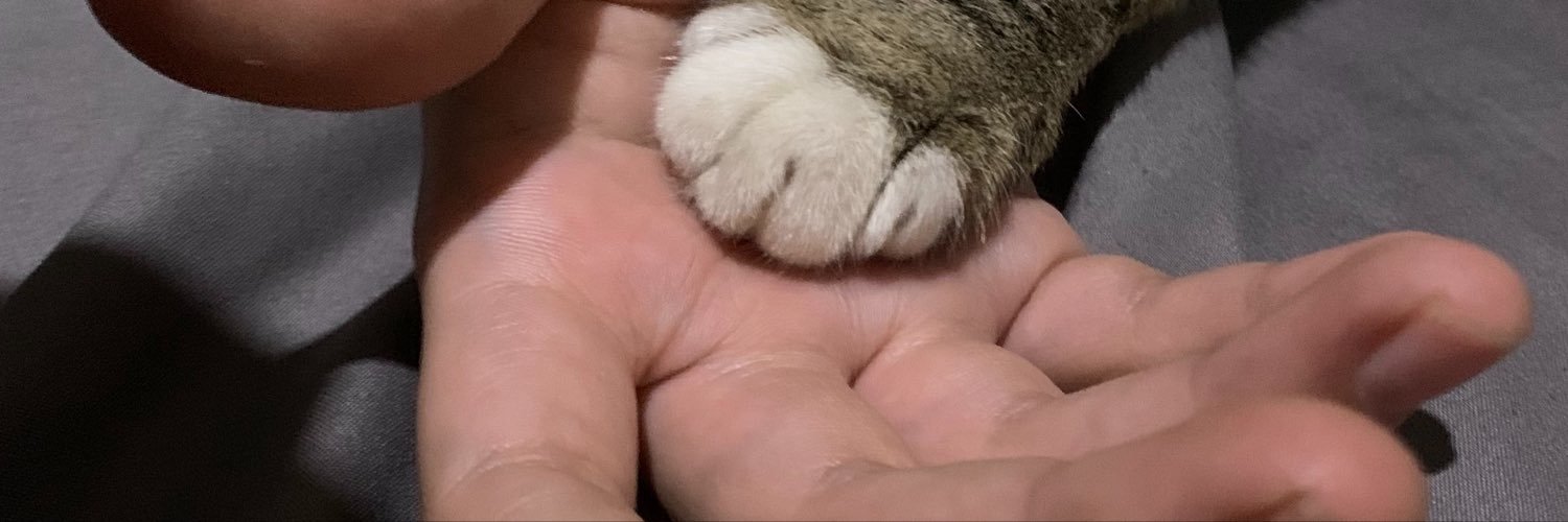 rachmatsln's profile banner image
