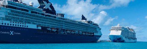 LifeWellCruised banner