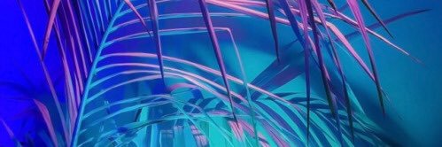 kanatomore's profile banner image