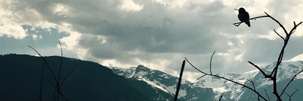 Sam_eejayy's profile banner image
