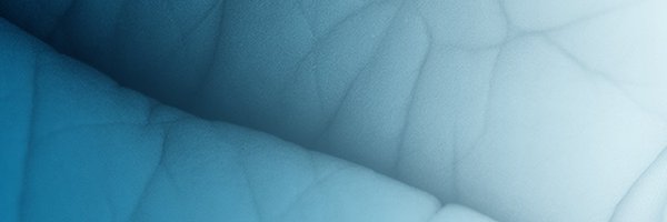 Children_MDPI Profile Banner