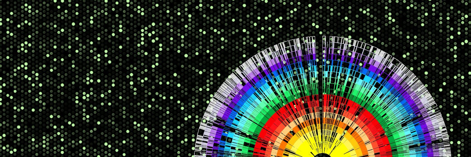 DvS Research Group banner