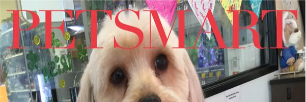 DAT_Mike banner