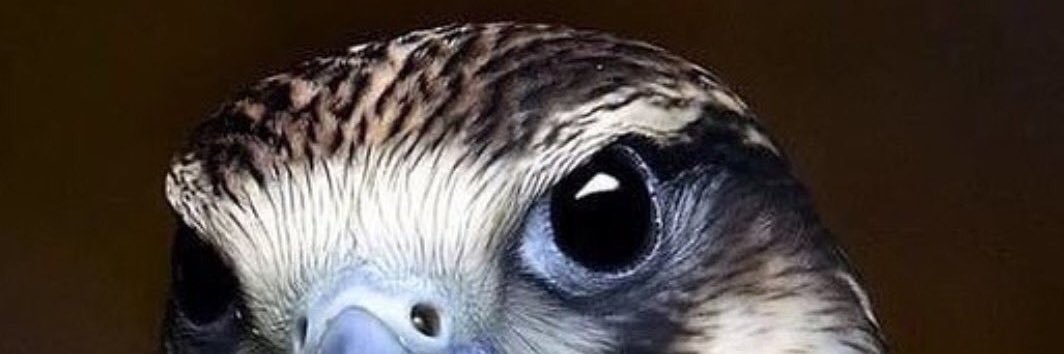 KhMm34's profile banner image