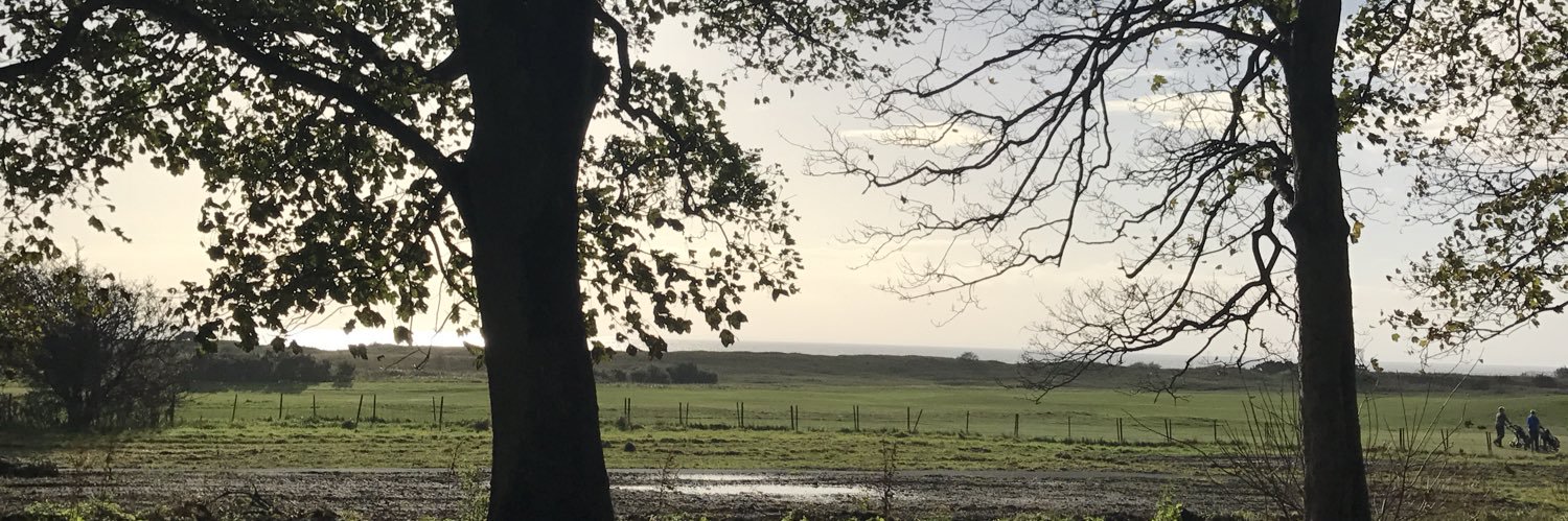 acid_que3n's profile banner image