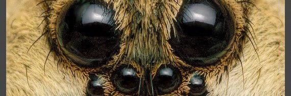 alonsocerrillos's profile banner image