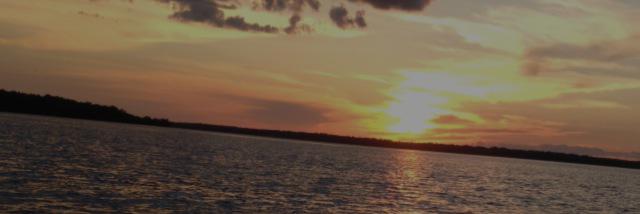 TweetsAboutHock's profile banner image