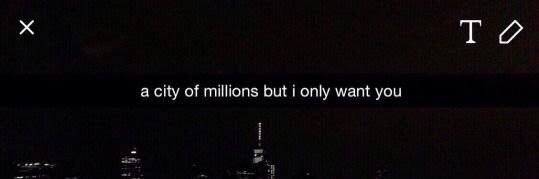 ยย ʕ·ᴥ·ʔ banner