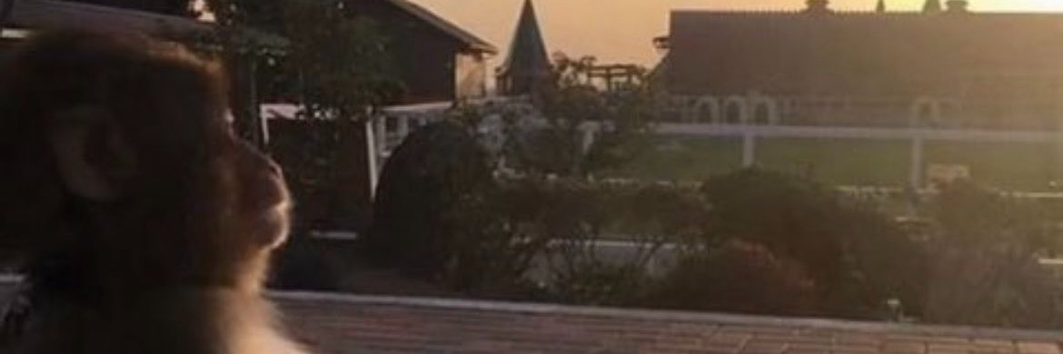 WhyteMunky's profile banner image