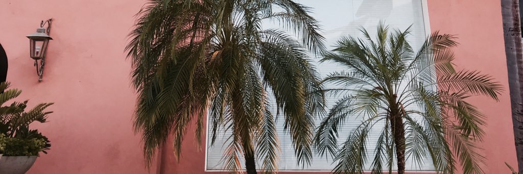 theUrbanRealist's profile banner image
