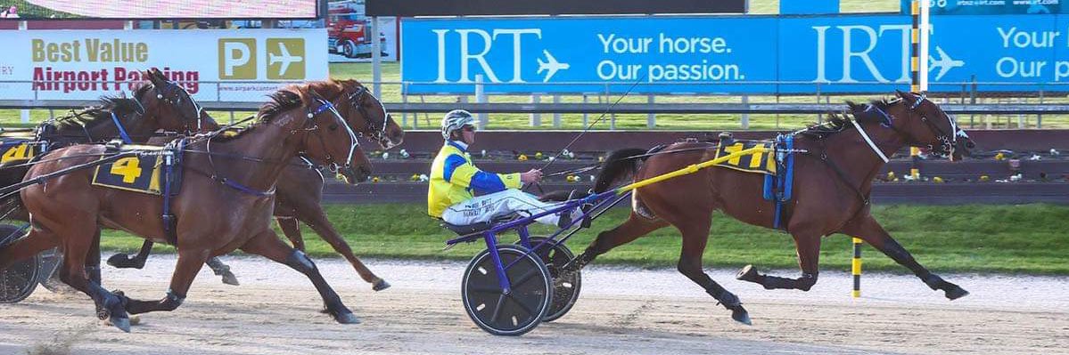 Matthew Peden banner