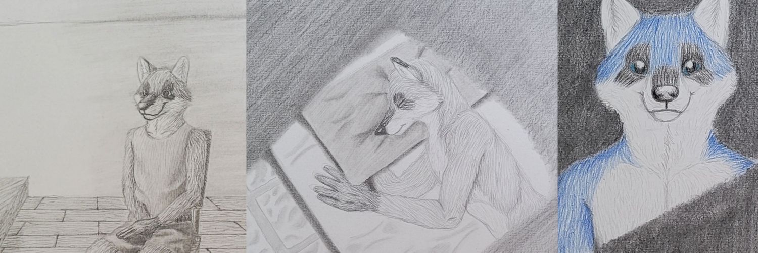 🐺Teushimen🦝 banner