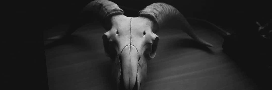 Rhydderk's profile banner image