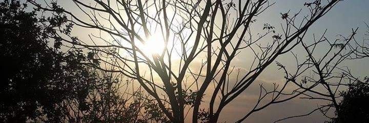 _carogimenez's profile banner image