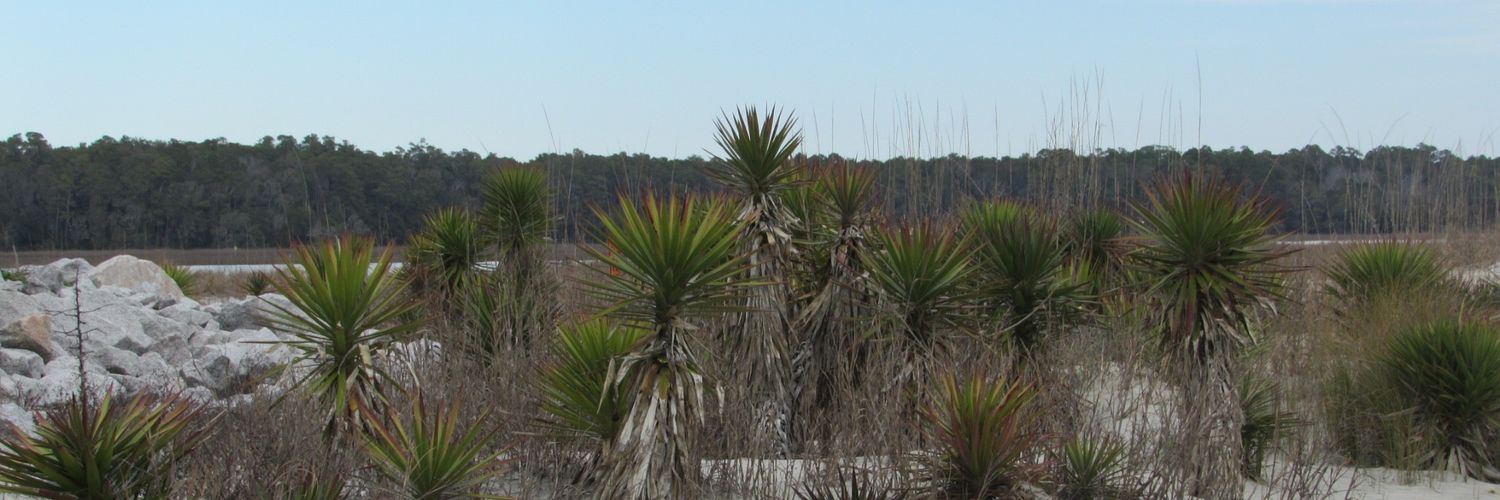 TheUpstateTraveler banner