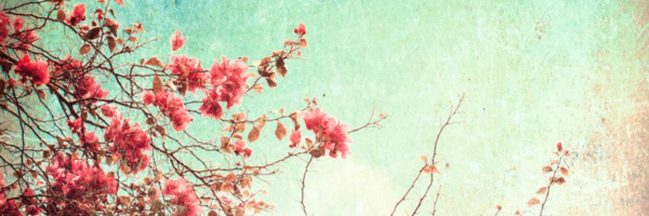 GiuliaDmn's profile banner image