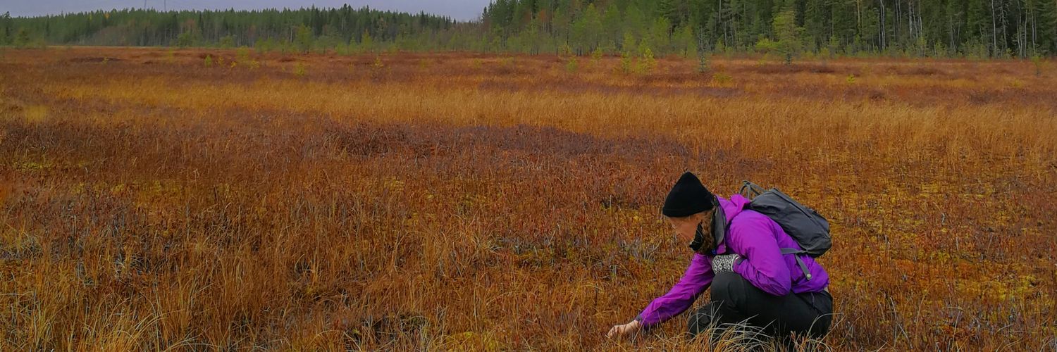 jennyvaaa's profile banner image