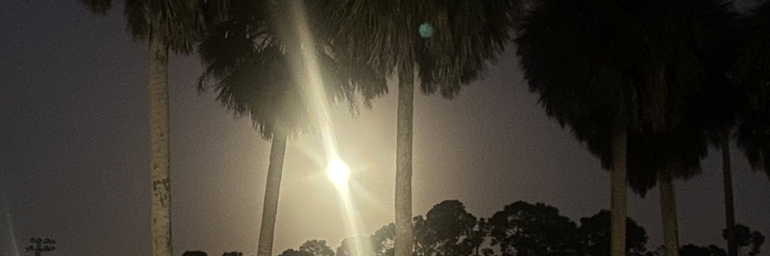 reallyraven's profile banner image