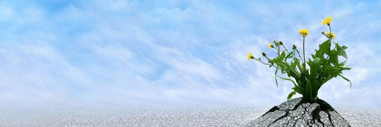 babou_net's profile banner image