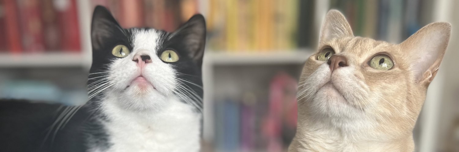 beeeethy_D's profile banner image