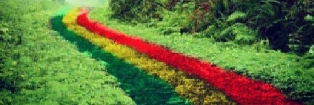 wrachy1142's profile banner image