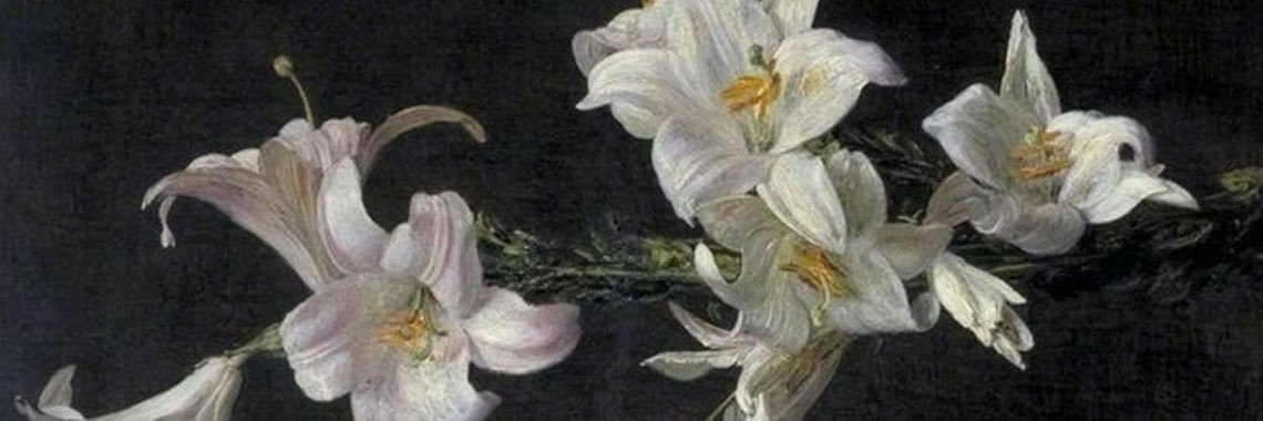 favlout's profile banner image