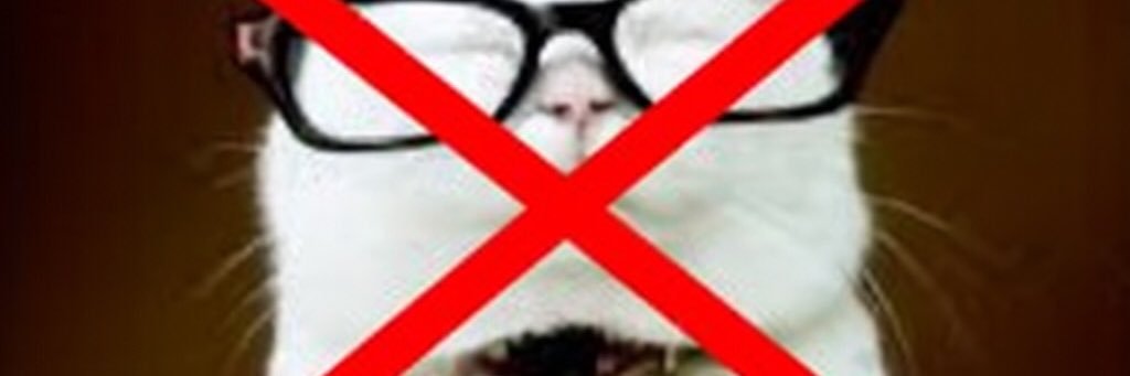 dogturd banner