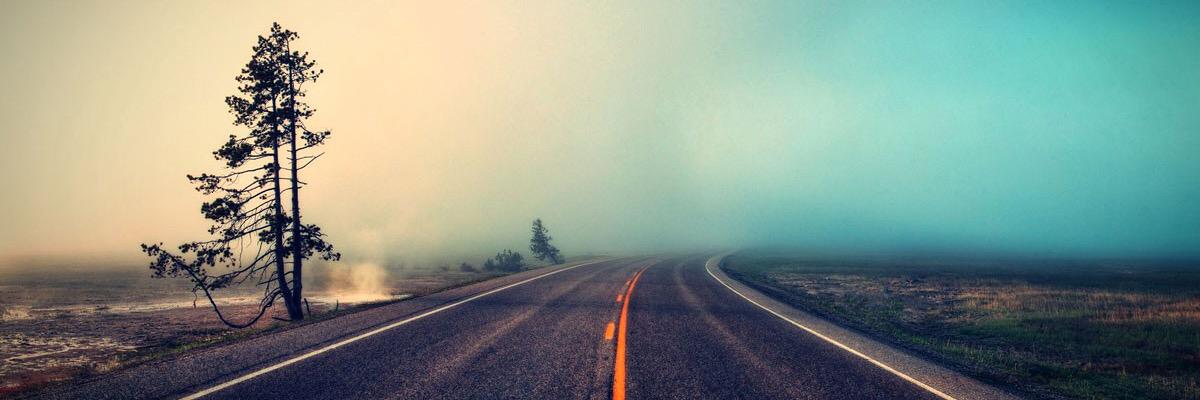 Alissa Cleland banner