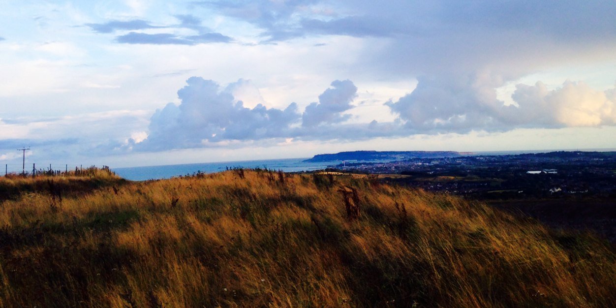 Dr Amy Wright banner