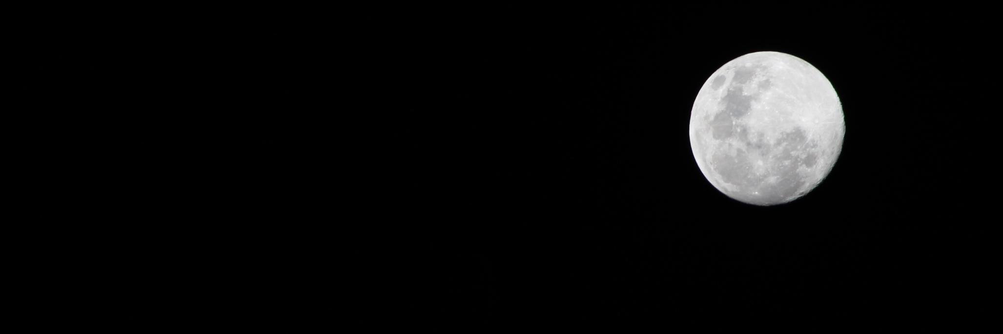 janinemend's profile banner image