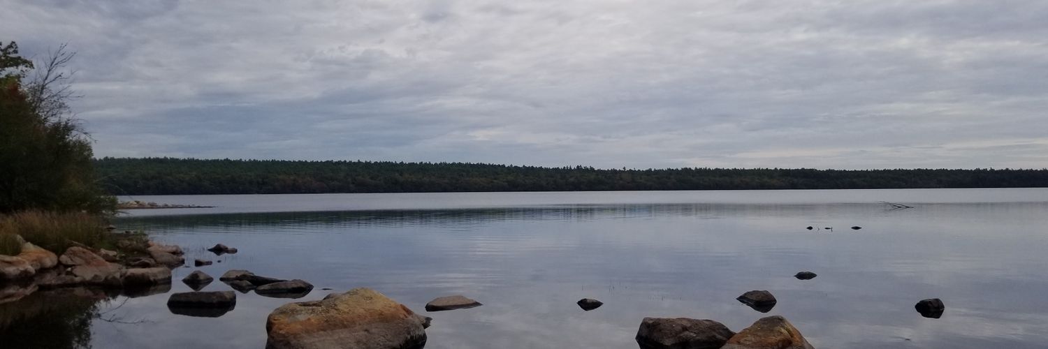 MathewFleury's profile banner image
