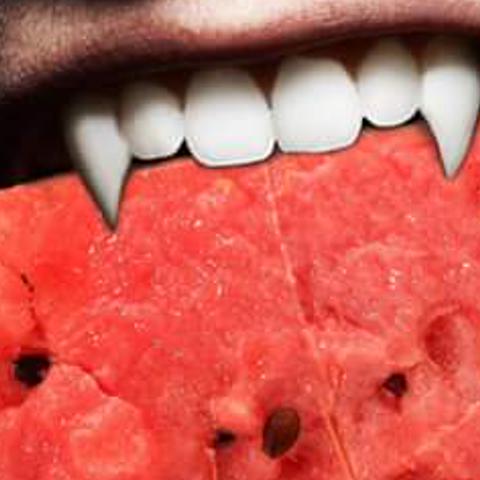 kitty_katia_'s profile banner image