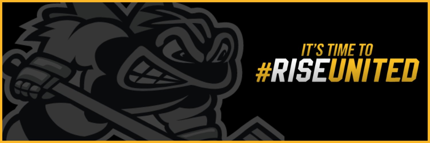 OFFICIAL Lambton Jr Sting AAA Hockey Club banner