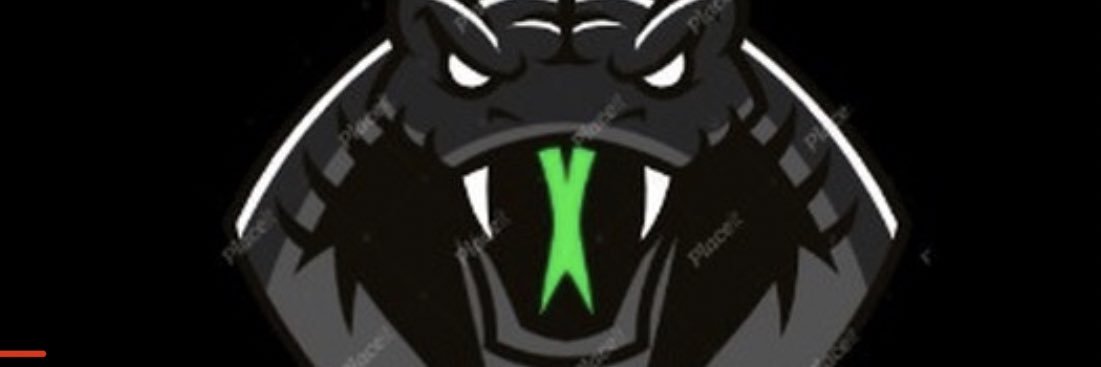 Zimus banner