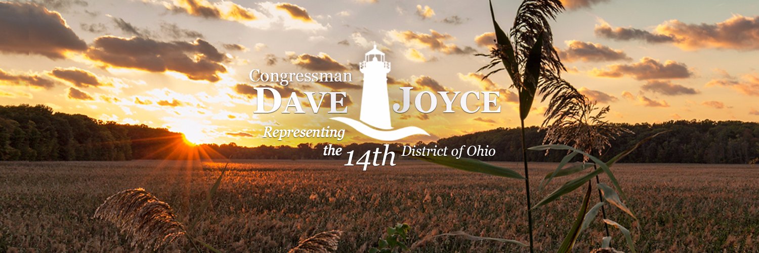 Dave Joyce's banner