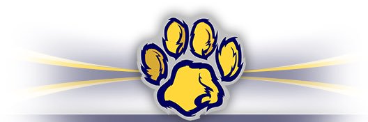 Ethan Eschler banner