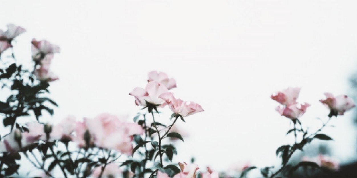 Chey_5683's profile banner image