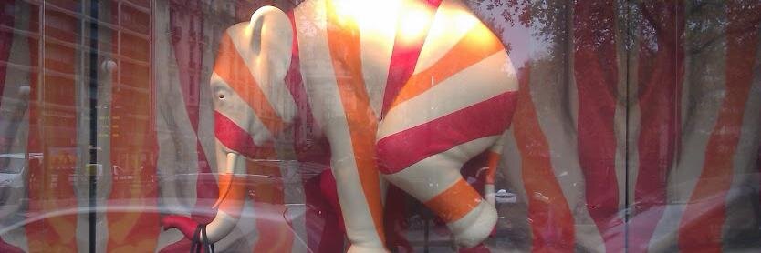 Gijs Hillenius banner