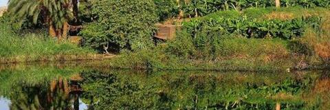 AHMEDABADY5's profile banner image