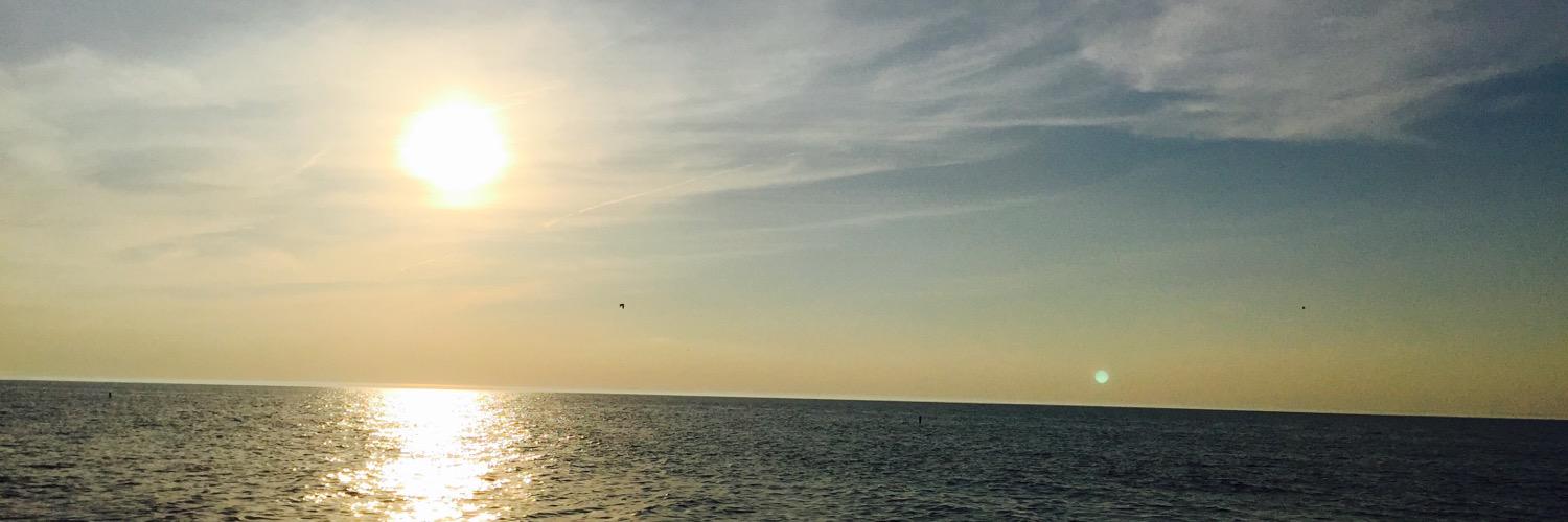 MiaElson1's profile banner image