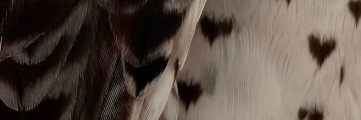 rawabiih's profile banner image