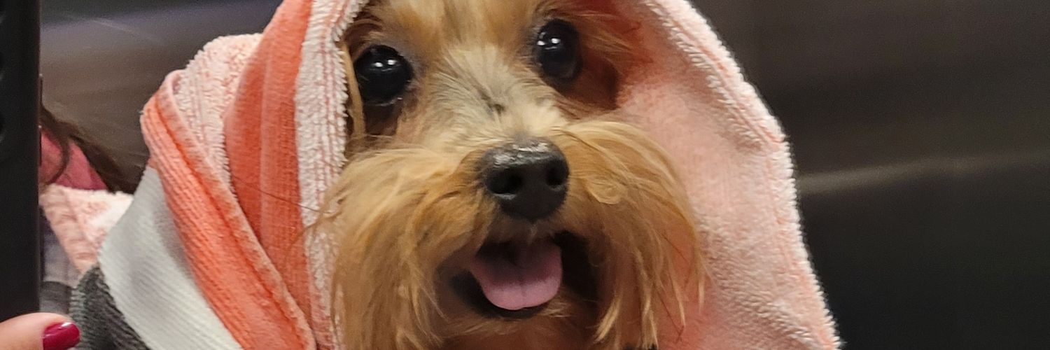 cl4zsr's profile banner image
