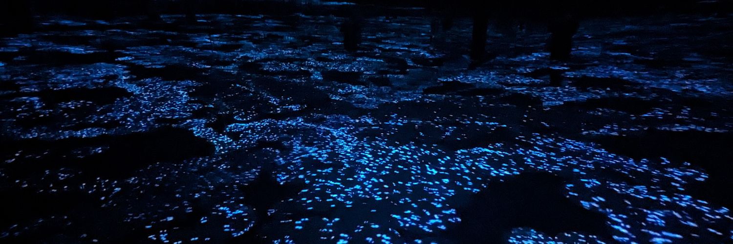 マックさん banner