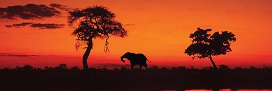 Pujahanda's profile banner image