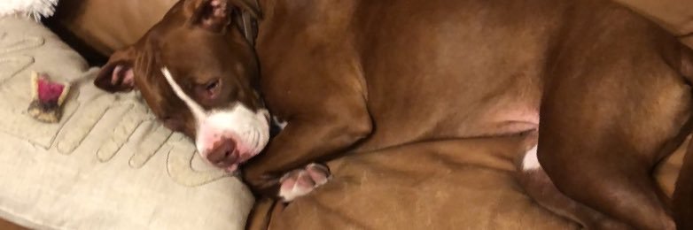 Ian_Miller22's profile banner image
