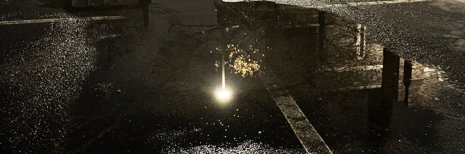 tears_andtea's profile banner image