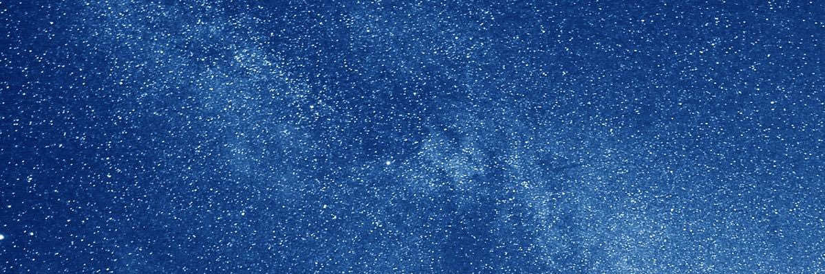 RJ - 王国 🍁 the garden depo arc banner