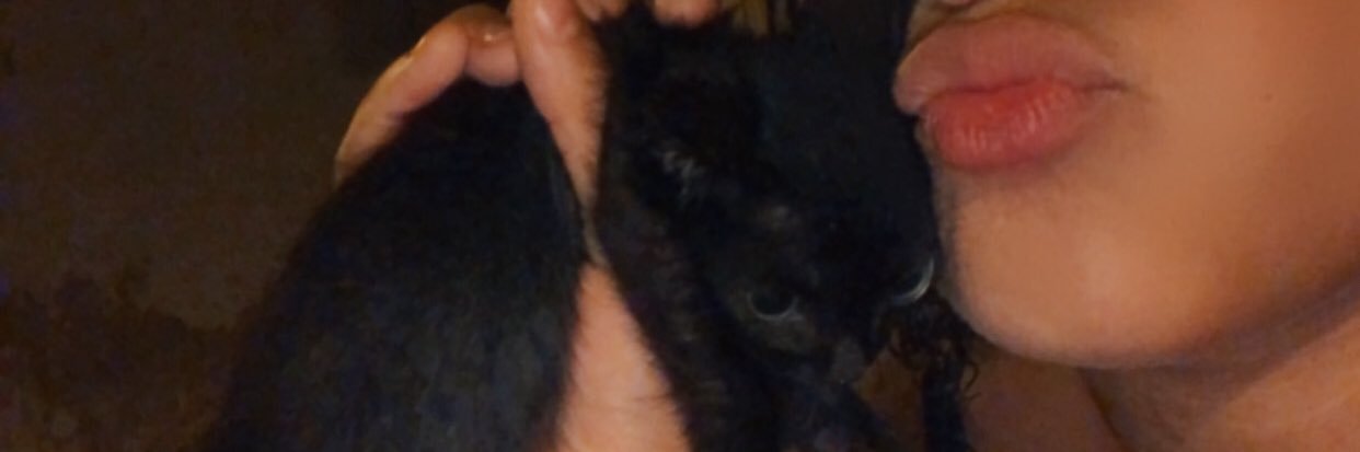 LuuuSouzza's profile banner image
