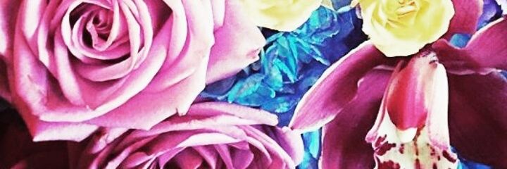Alvarados92's profile banner image
